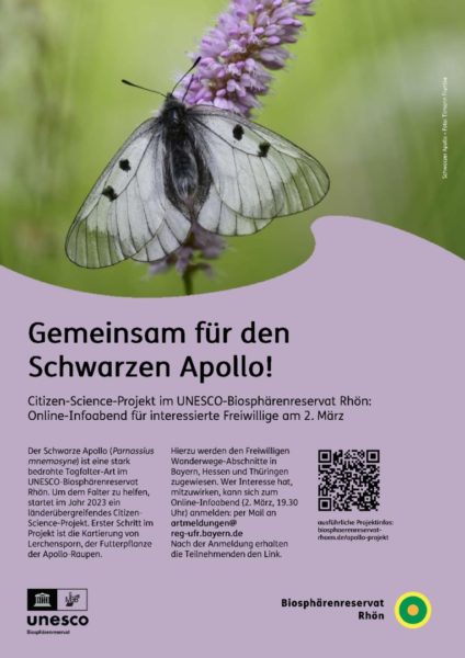 thumbnail of 20230224 Plakat Citizen Science Schwarzer Apollo