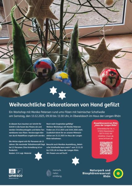 thumbnail of usPlakat_WeihnchtlicheDeko13122025